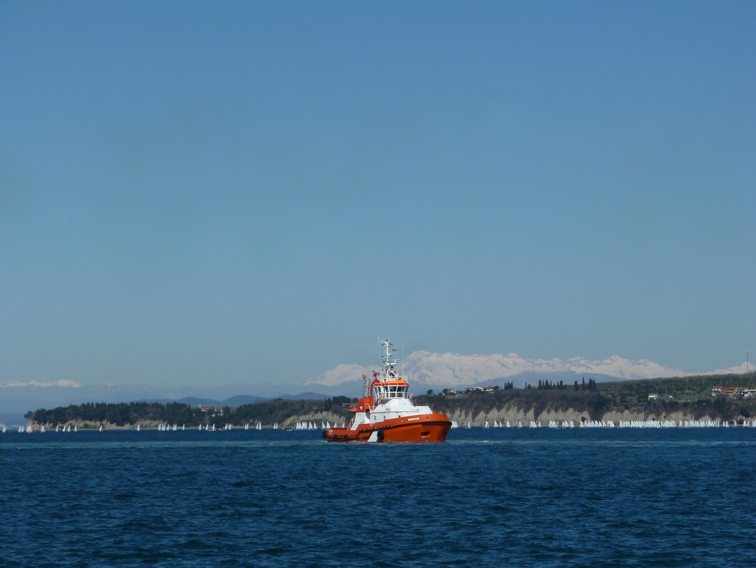 P1530555_20
