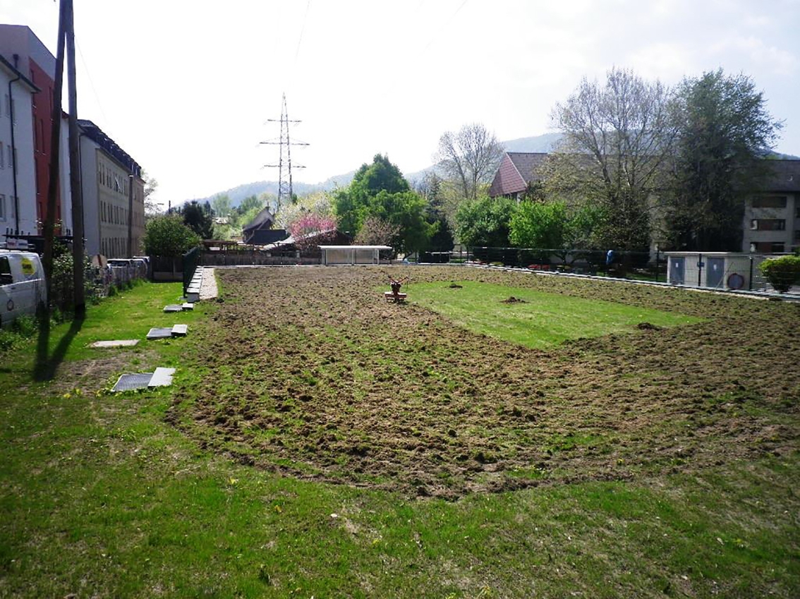 3_Gutachten Dachbegrünung_30